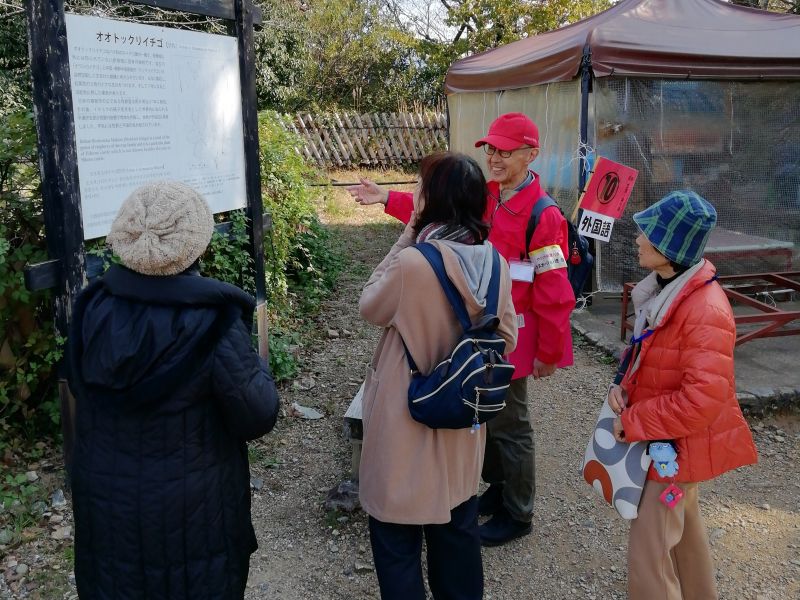 ボランティアガイド